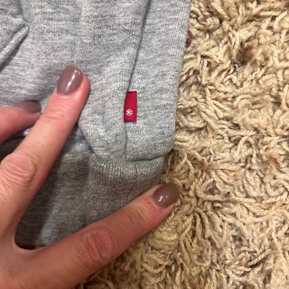 Levi's Vote Relaxed Graphic Hoodie, Wash Gray Heather, Small - Picture 9 of 13